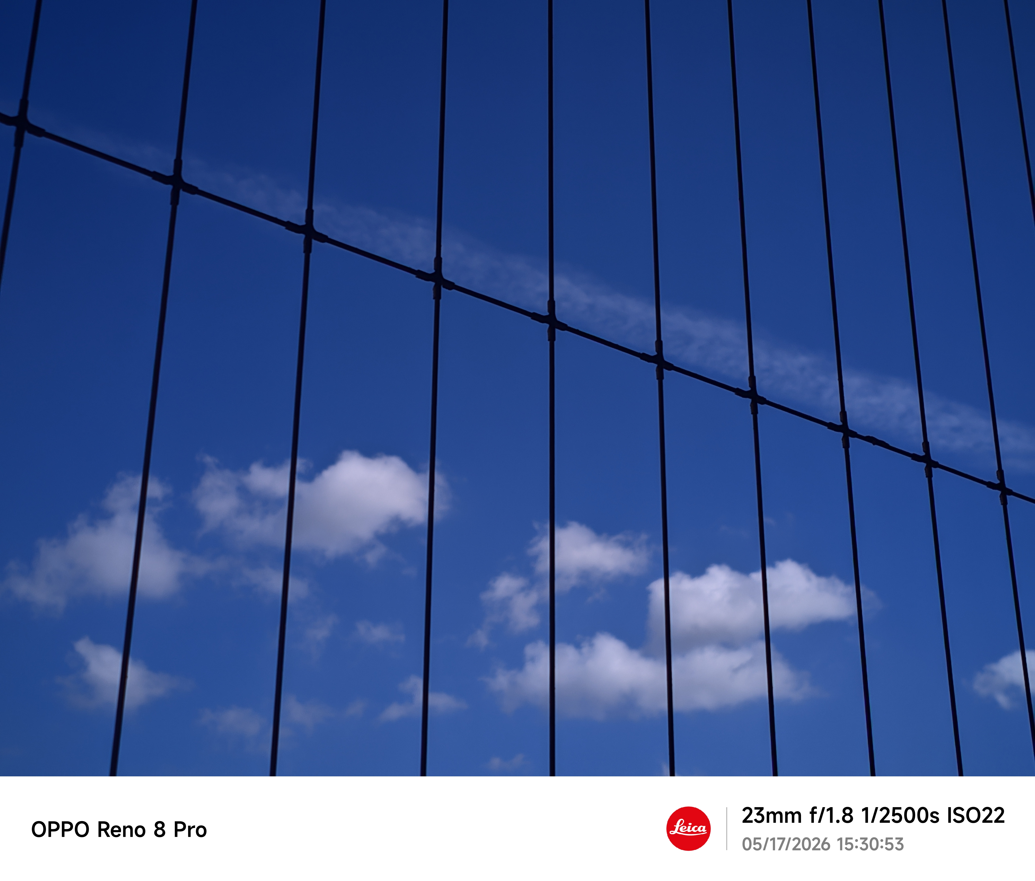 Blue & Forbidden